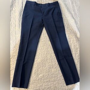 Express dress pants 30x30